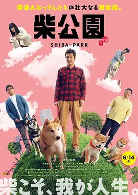 免费国产之a视频