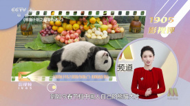 亚欧美视频